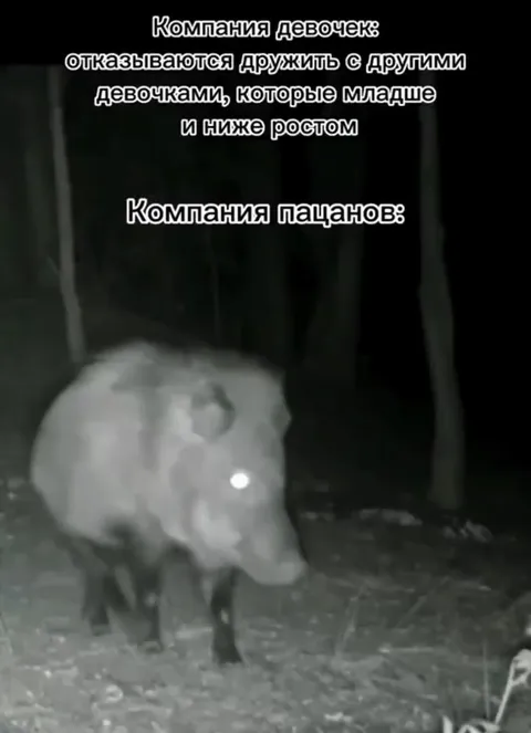 Компания пацанов в лесу