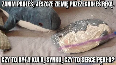 Czy to była kula, synku?