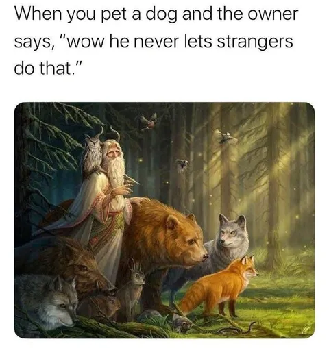 Petting a Dog Among Strangers