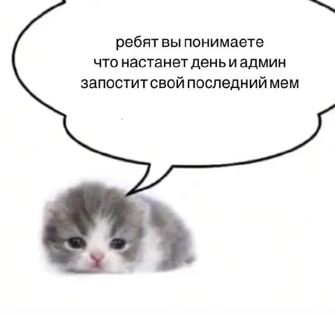 Последний мем админа