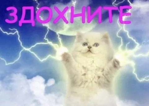 ЗДОХНИТЕ — кот с молниями