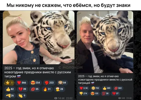 Год змеи с русским тигром