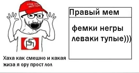 Правый мем про фемок и левых