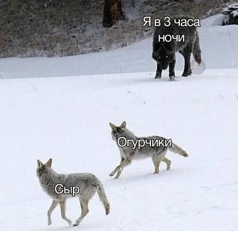 Ночные набеги на холодильник