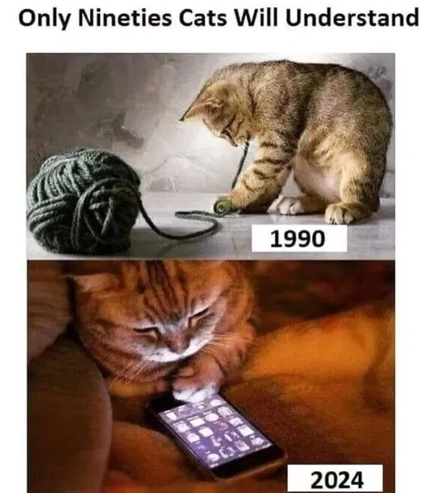 Nineties Cats Versus Modern Cats