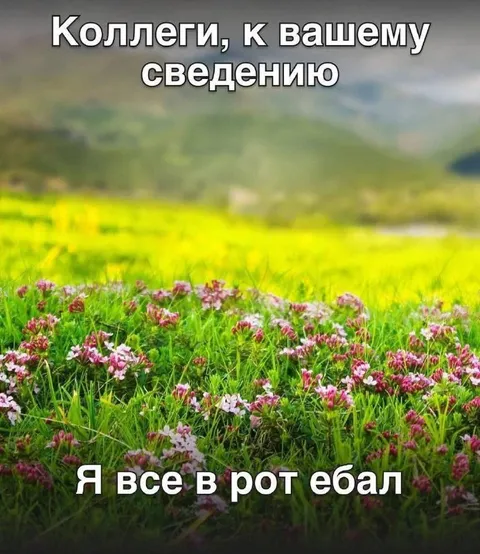Коллеги, к вашему сведению
