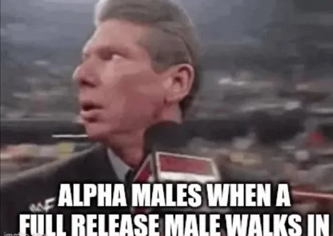 Alpha Males See Full Release Male