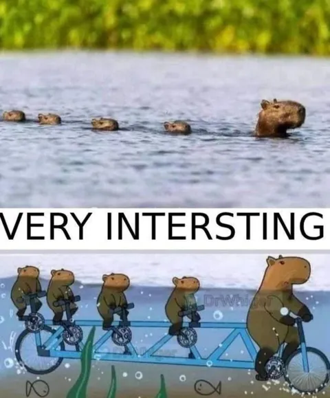 Very Interesting Capybara Meme
