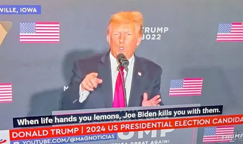 When Life Hands You Lemons