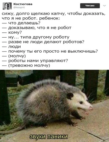 Опоссум в панике из-за роботов