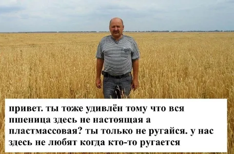 Пластмассовая пшеница