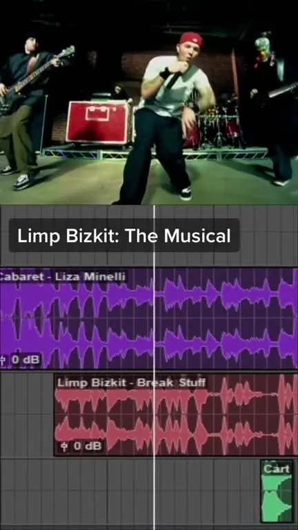 Limp Bizkit: The Musical