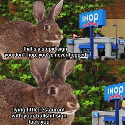 Rabbit Insults IHOP Sign
