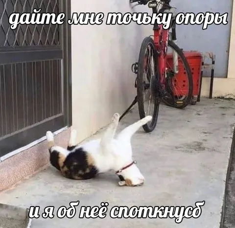 Дайте точку опоры