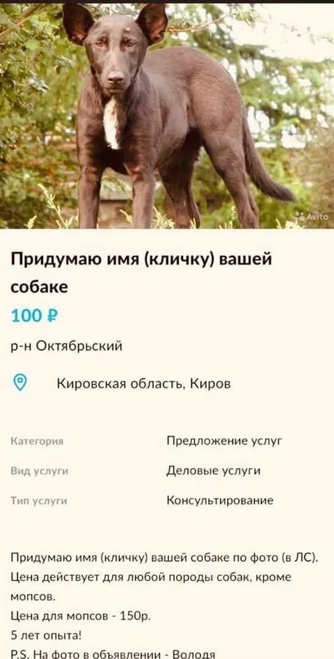 Имя собаке за 100 рублей