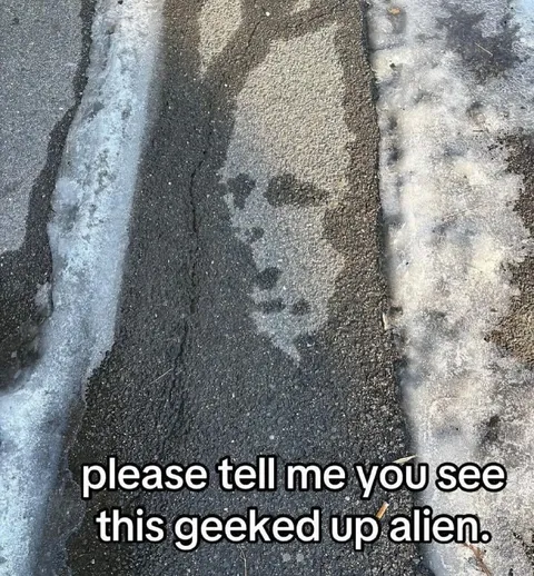 Gecked-Up Alien on the Pavement