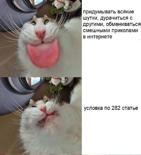 Шутки в интернете по статье 282