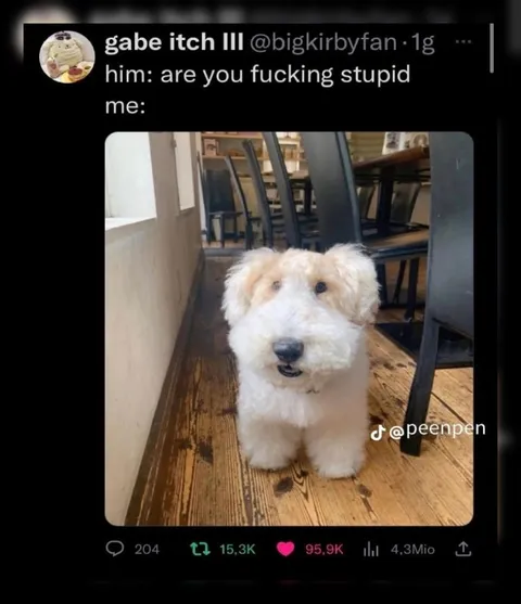 Are You Fucking Stupid?
