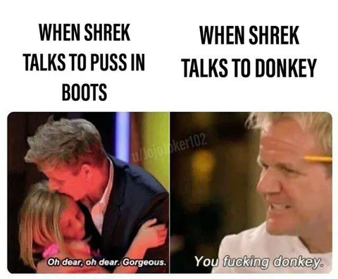 When Shrek Talks to Donkey