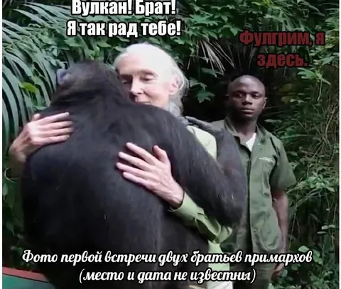 Встреча братьев-примархов