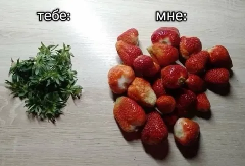 Тебе ботва, мне клубника