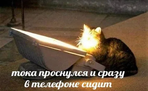 Только проснулся и уже в телефоне