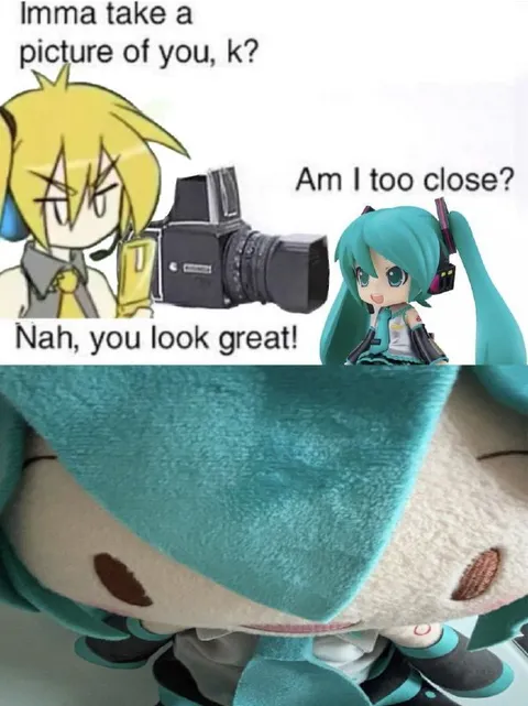 Miku Is Too Close