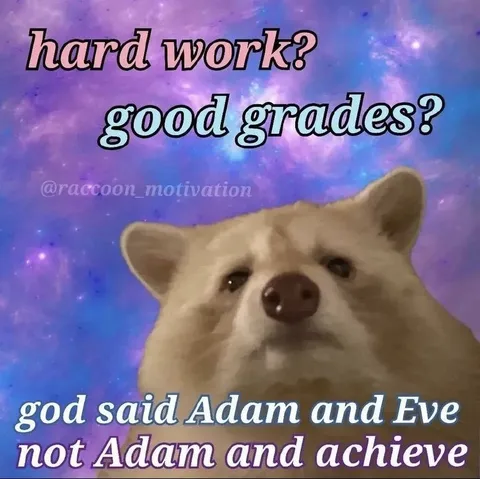 Adam and Achieve Pun