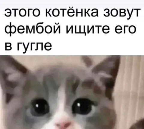 Котёнок по имени Фембой
