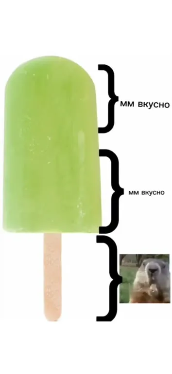 Мороженое и довольный зверёк