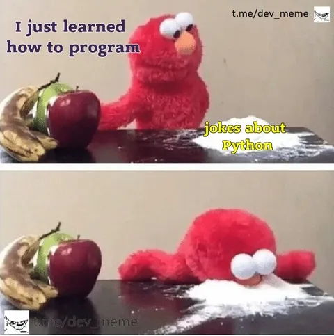 Elmo Laughs at Python Jokes