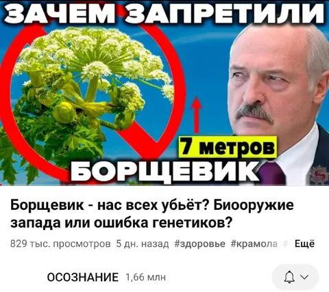 Зачем запретили борщевик