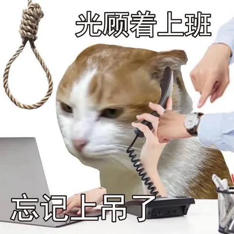 光顾着上班忘记上吊