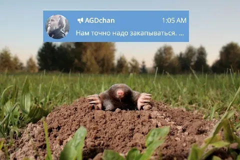 Нам точно надо закапываться