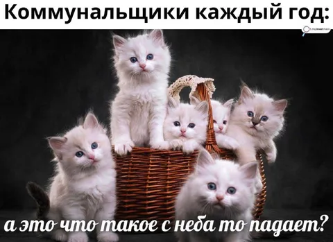 Коммунальщики каждый год