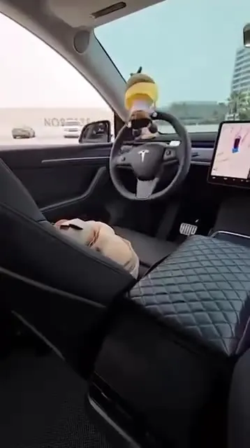 Игрушки сами ведут Tesla