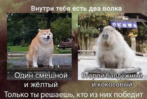 Внутри тебя два волка