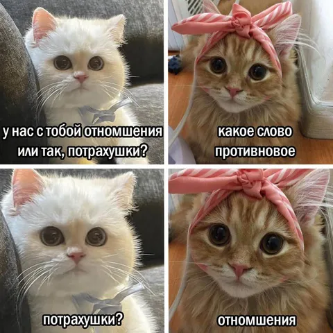 Отношения или потрахушки
