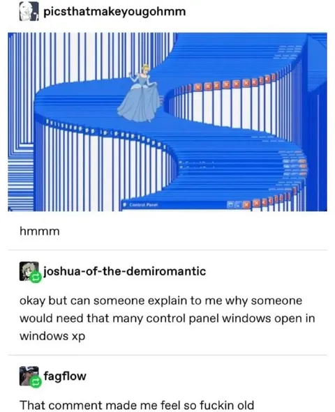 Too Many Windows XP Control Panels