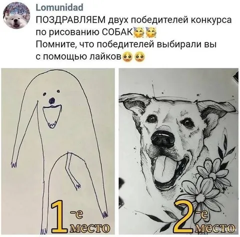 Победители конкурса рисунков собак