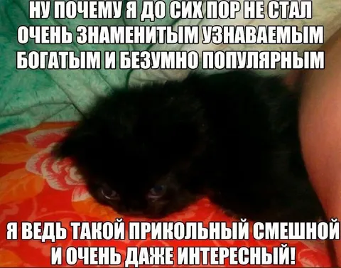 Почему я ещё не знаменит