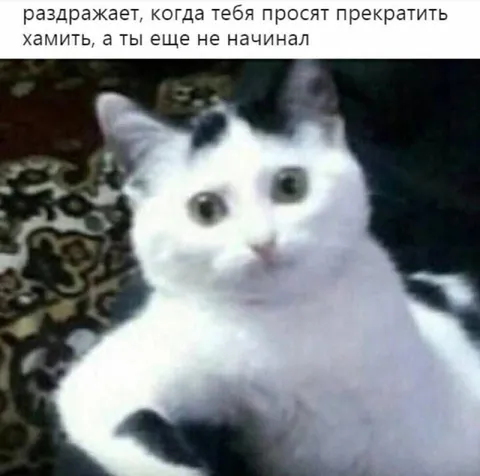 Когда тебя просят не хамить