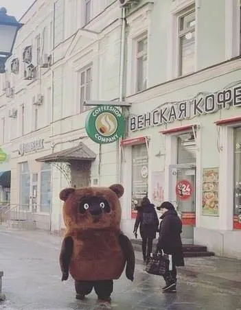 Медведь у венской кофейни