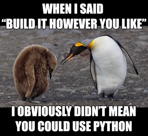 When You Use Python Anyway