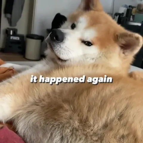 It Is 4PM and I’ve Done Nothing