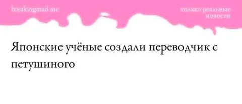 Переводчик с петушиного