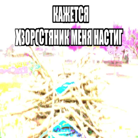 Хворостянник меня настиг