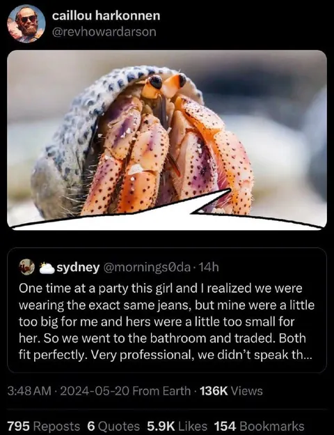 Perfectly Fitting Jeans Trade
