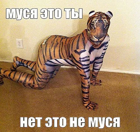 Муся в костюме тигра