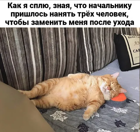 Начальник нанял троих вместо меня